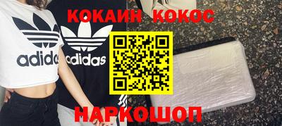 стаф Гай
