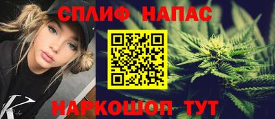 стаф Гай