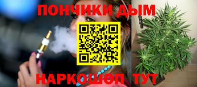 стаф Гай