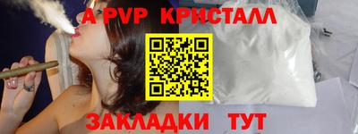стаф Гай